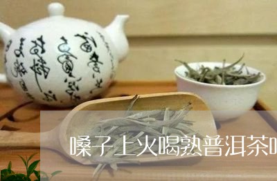 嗓子上火喝熟普洱茶吗好吗/2023121504940