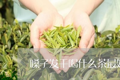 嗓子发干喝什么茶最好/2023071327161