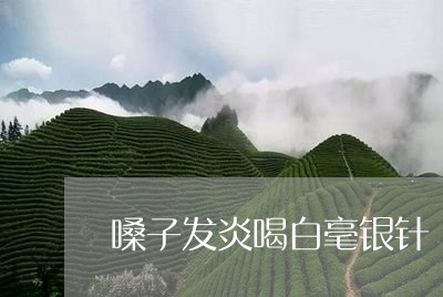 嗓子发炎喝白毫银针/2023120533725