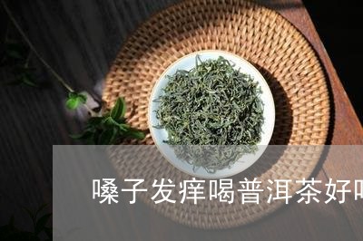 嗓子发痒喝普洱茶好吗/2023100731614