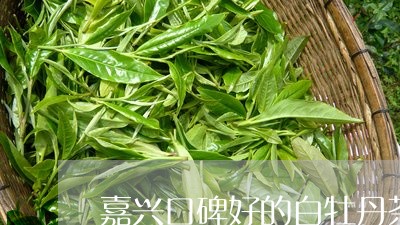 嘉兴口碑好的白牡丹茶叶/2023092372129