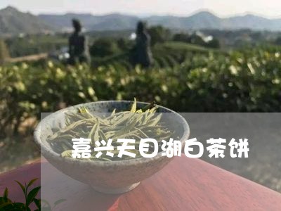 嘉兴天目湖白茶饼/2023061693046