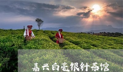 嘉兴白毫银针茶馆/2023090732825