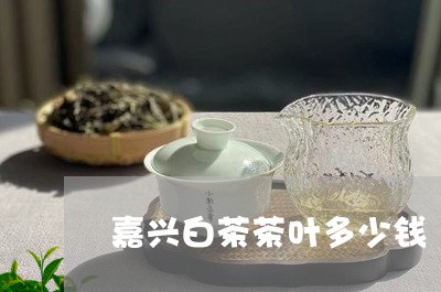 嘉兴白茶茶叶多少钱/2023071795048