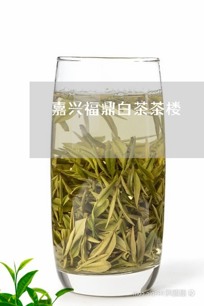 嘉兴福鼎白茶茶楼/2023061697794