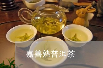 嘉善熟普洱茶/2023042613482