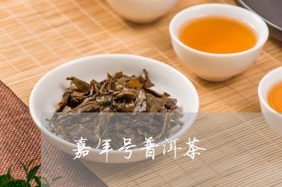 嘉年号普洱茶/2023091227258