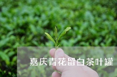 嘉庆青花留白茶叶罐/2023071715061