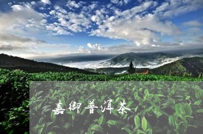 嘉御普洱茶/2023081835050