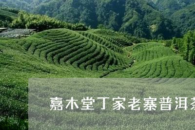 嘉木堂丁家老寨普洱茶/2023061808482