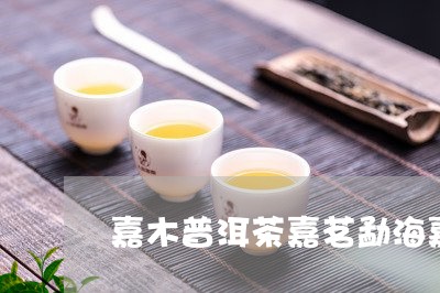 嘉木普洱茶嘉茗勐海嘉木普洱茶/2023053080695