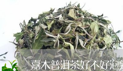 嘉木普洱茶好不好泡熟茶/2023110570792