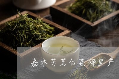 嘉木芳茗白茶哪里产/2023121893836