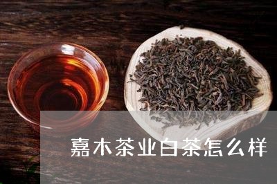 嘉木茶业白茶怎么样/2023071740682