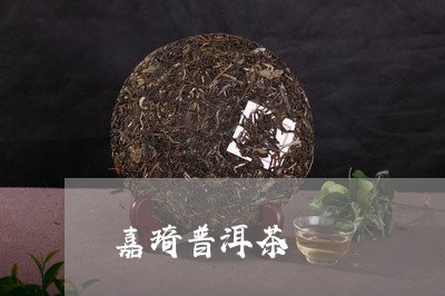 嘉琦普洱茶/2023102562625