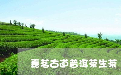 嘉茗古道普洱茶生茶/2023120519817