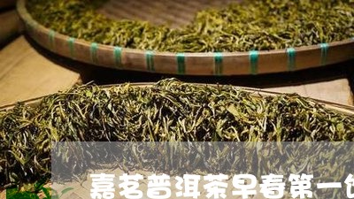 嘉茗普洱茶早春第一饼/2023061640584