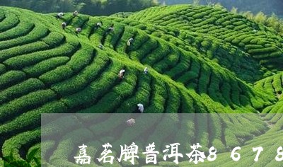 嘉茗牌普洱茶8678/2023080140573