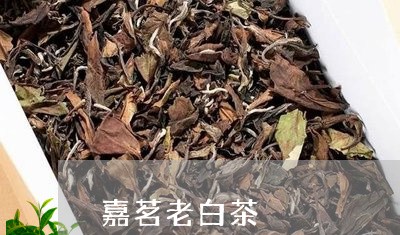 嘉茗老白茶/2023082606142