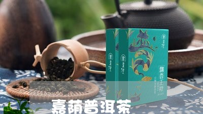 嘉荫普洱茶/2023090510584