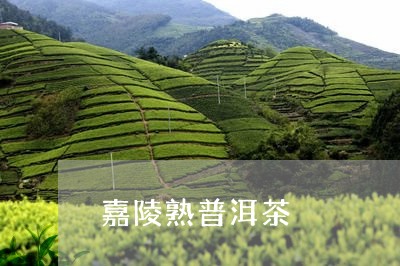 嘉陵熟普洱茶/2023042826775