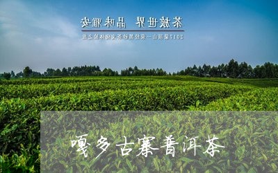 嘎多古寨普洱茶/2023120330363