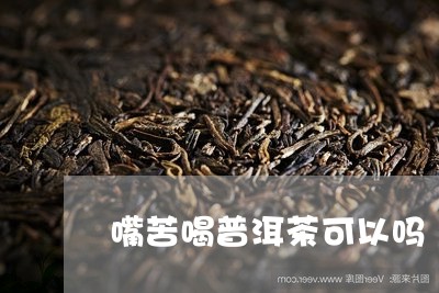 嘴苦喝普洱茶可以吗/2023070904948