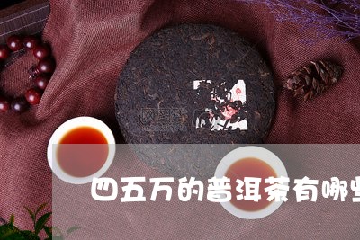 四五万的普洱茶有哪些品牌/2023081578613