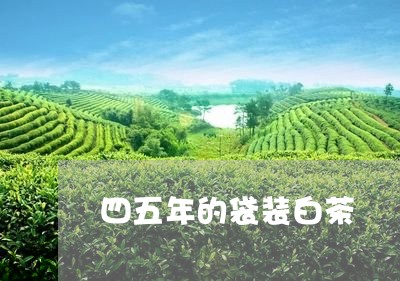 四五年的袋装白茶/2023061677262