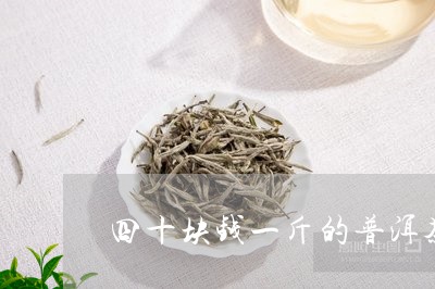 四十块钱一斤的普洱茶/2023092524736