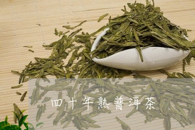 四十年熟普洱茶/2023110590562