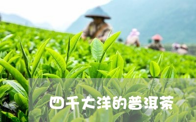 四千大洋的普洱茶/2023120432708