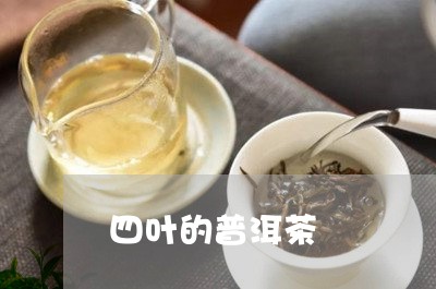 四叶的普洱茶/2023042501443