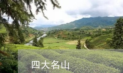 四大名山/2023110842017