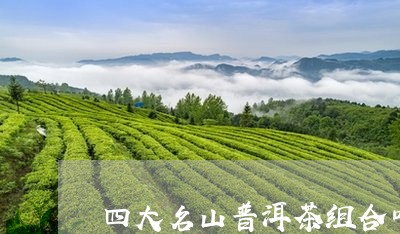 四大名山普洱茶组合叫什么/2023112564926