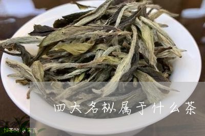 四大名枞属于什么茶/2023042180472