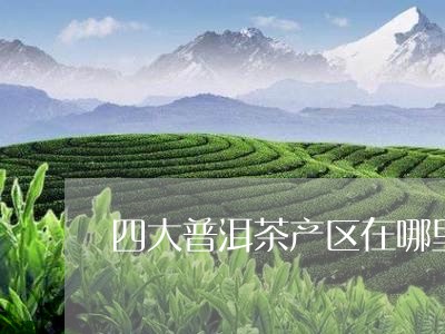 四大普洱茶产区在哪里啊/2023120765926