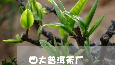 四大普洱茶厂/2023042902302