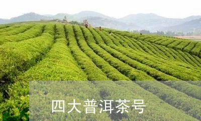 四大普洱茶号/2023090659279