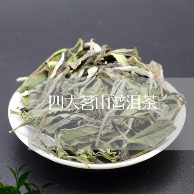 四大茗山普洱茶/2023102639583