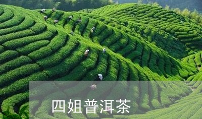 四姐普洱茶/2023081834171