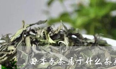 四季春茶属于什么茶系/2023071569581