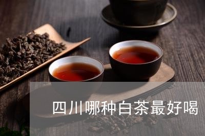 四川哪种白茶最好喝/2023121868501