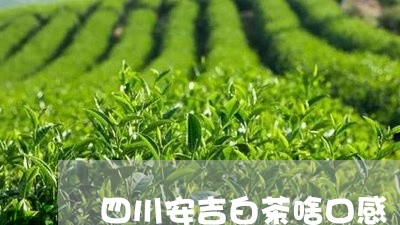 四川安吉白茶啥口感/2023121891503