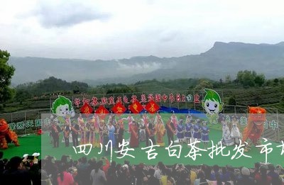 四川安吉白茶批发市场/2023092865158