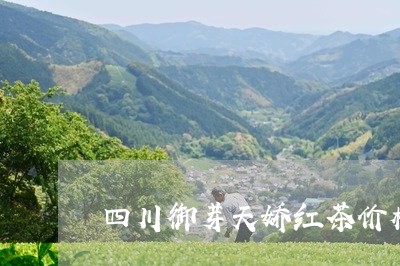 四川御芽天娇红茶价格/2023071543969