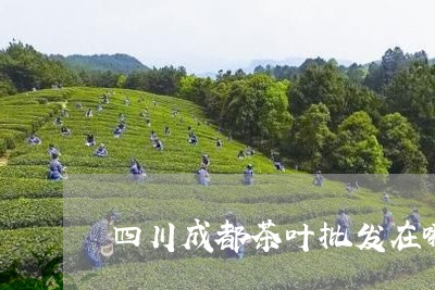 四川成都茶叶批发在哪/2023092281025