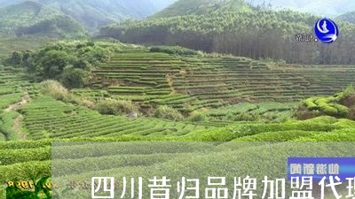 四川昔归品牌加盟代理/2023071386371