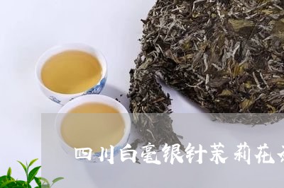 四川白毫银针茉莉花茶/2023092815156