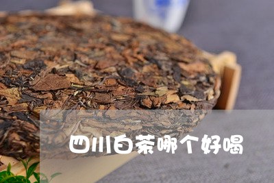 四川白茶哪个好喝/2023061784968